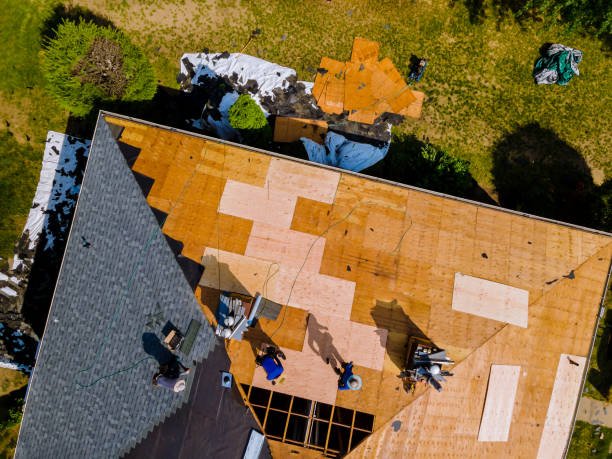 Quick and Trustworthy Emergency Roof Repair Services in Haines City, FL