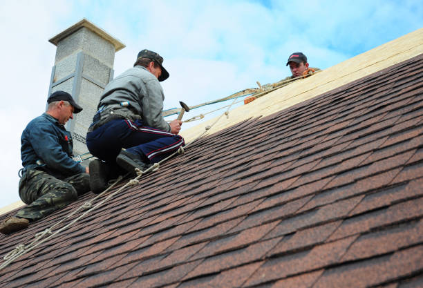 Best Roof Repair Services  in Haines City, FL